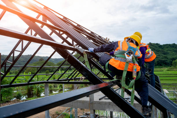 Best Roof Gutter Cleaning  in Hideaway, TX
