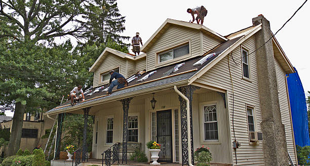 Roof Gutter Cleaning in Hideaway, TX